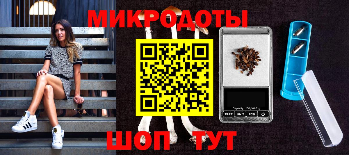Галлюциногенные грибы мицелий Архангельск