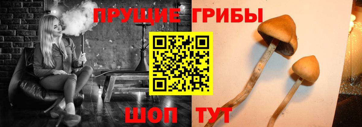 Архангельск  Псилоцибиновые грибы прущие грибы  Галлюциногенные грибы прущие грибы  Вход с VPN 